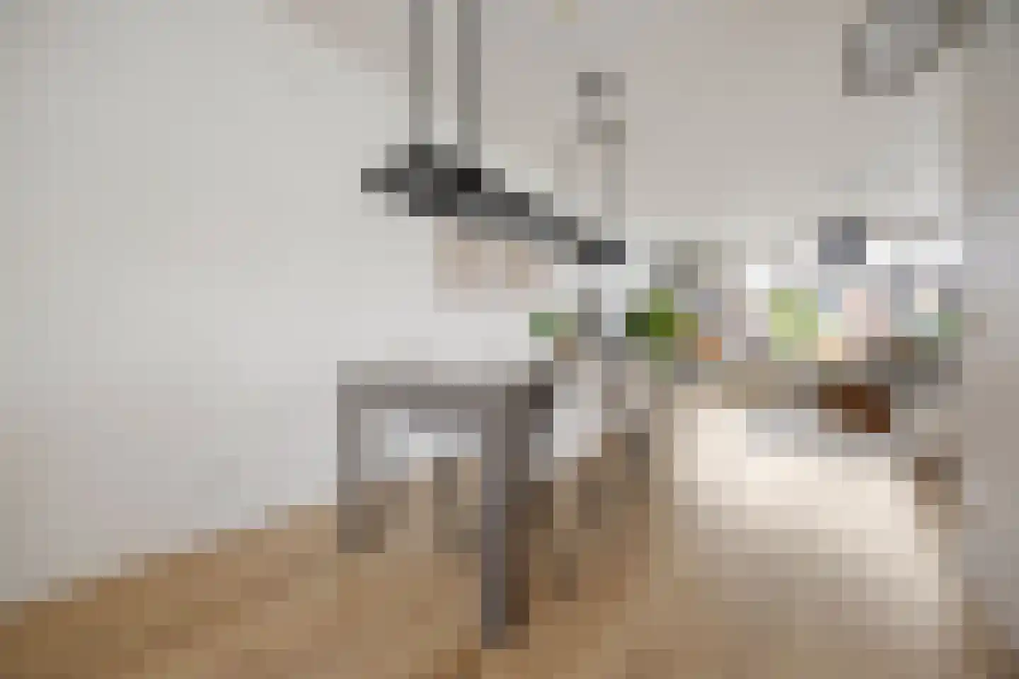 Sevenumstraat 4 Arnhem thumbnail 9