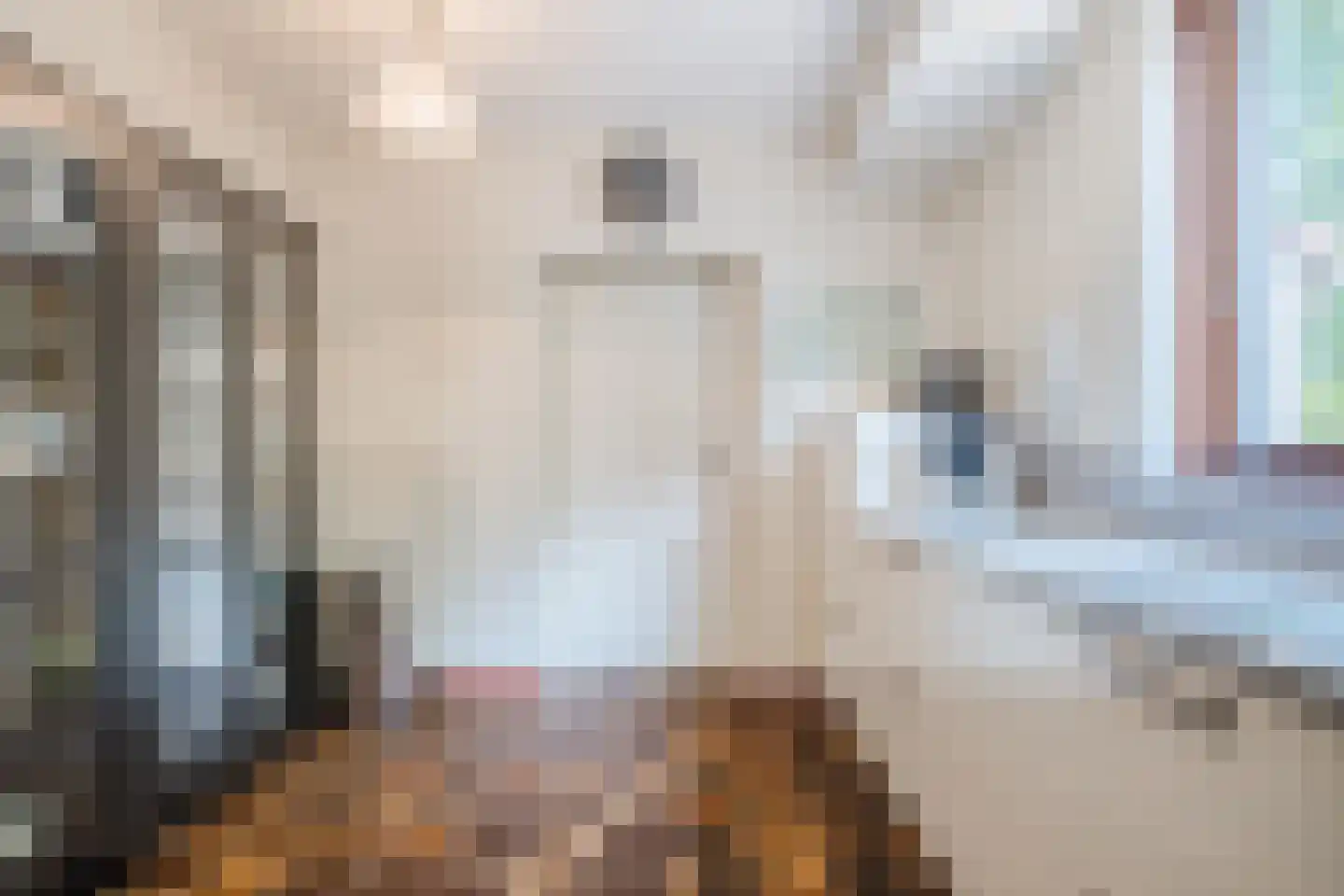 Severeind 7 Veldhoven thumbnail 14