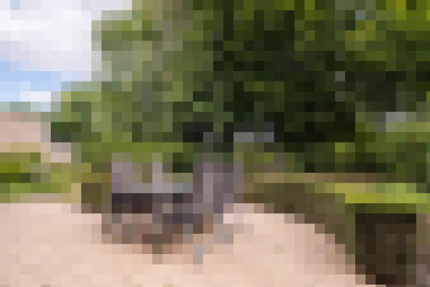 Severeind 7 Veldhoven thumbnail 38