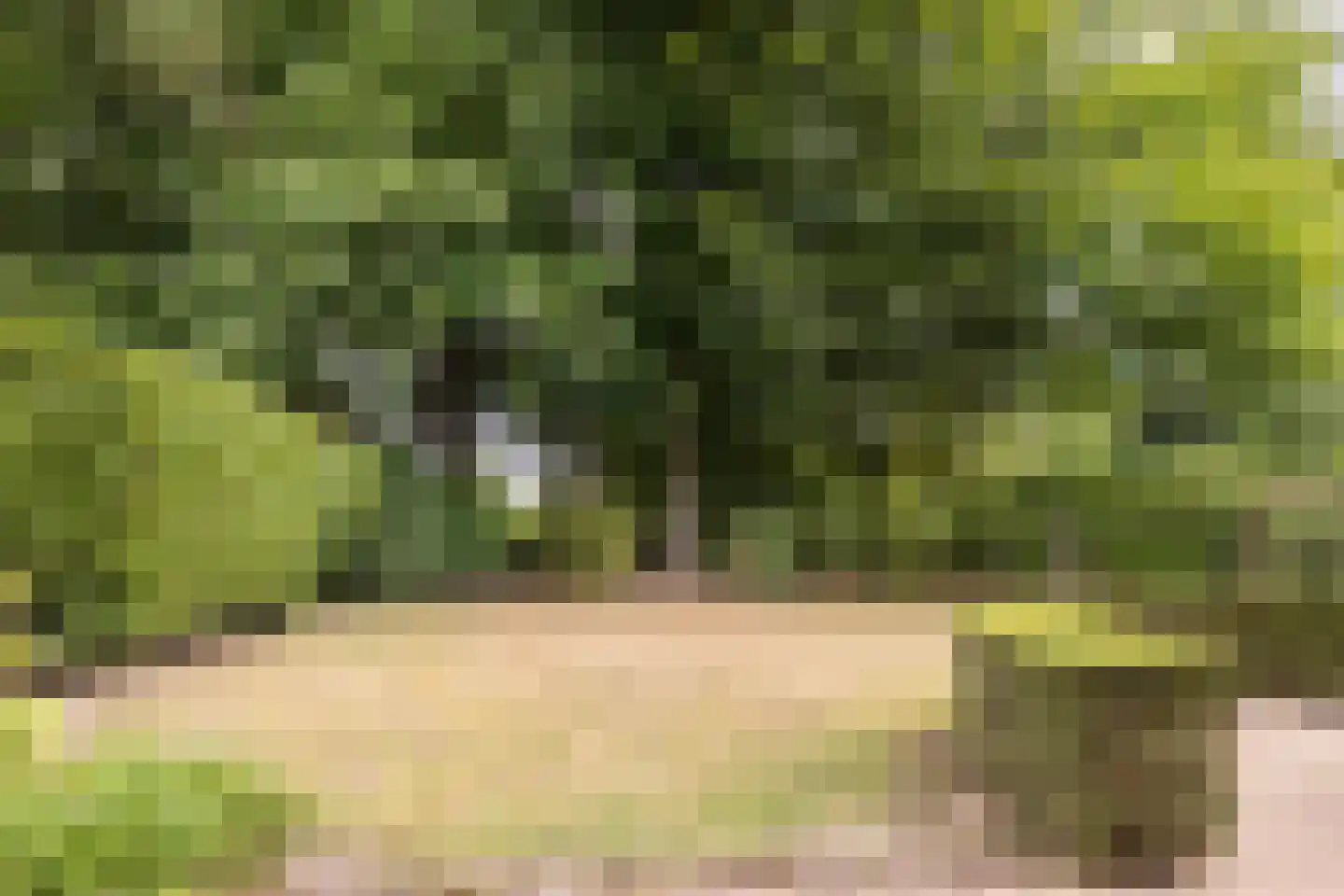Severeind 7 Veldhoven thumbnail 39
