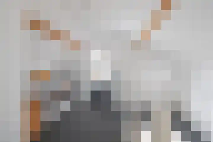 Severenplein 22 Maastricht thumbnail 16