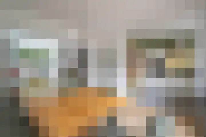 Severenplein 22 Maastricht thumbnail 6
