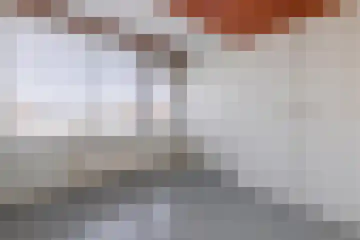 Severenplein 32 Maastricht thumbnail 16