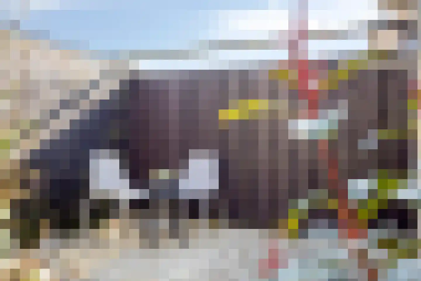 Severijnpad 14 Alkmaar thumbnail 19