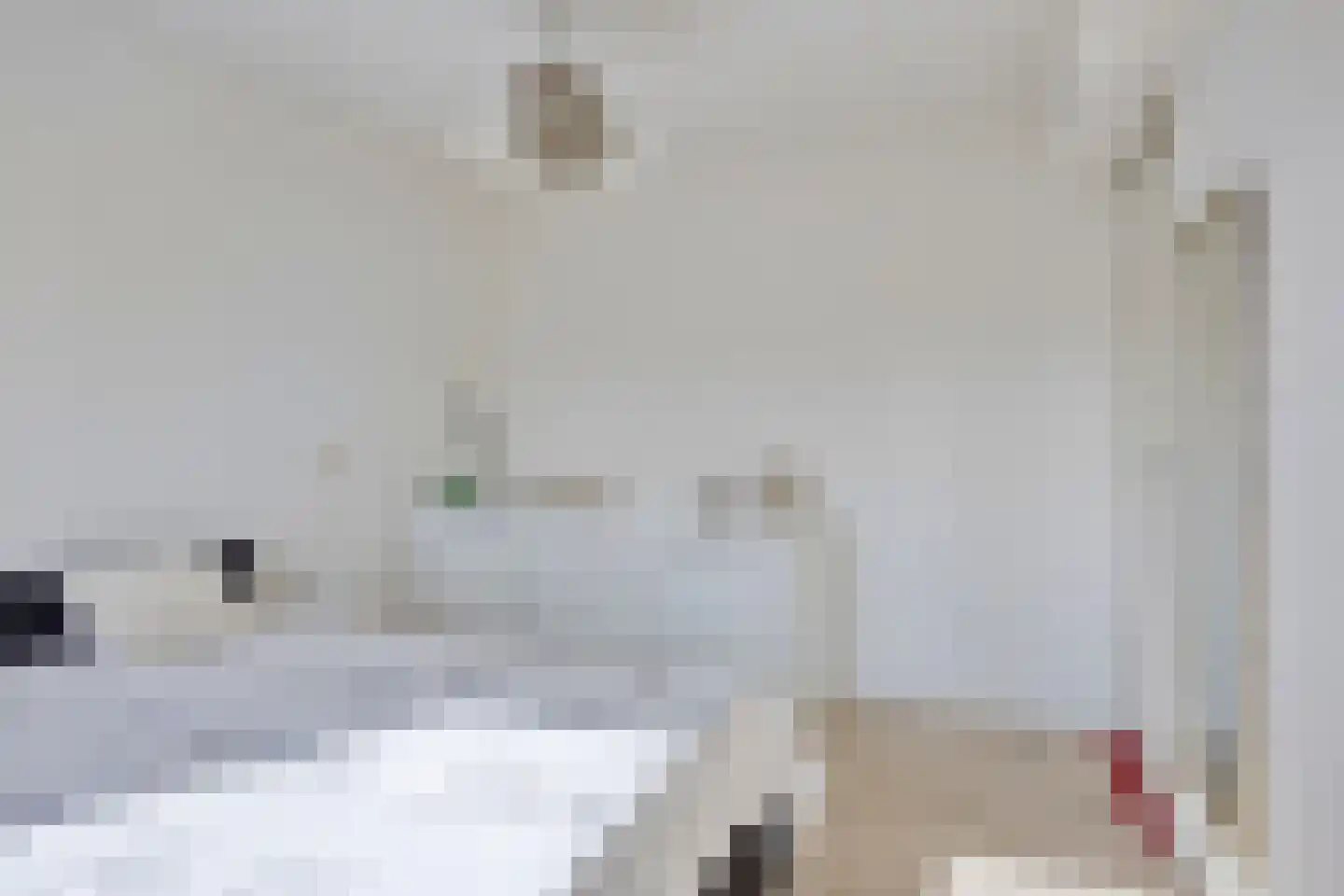 Severijnpad 14 Alkmaar thumbnail 26