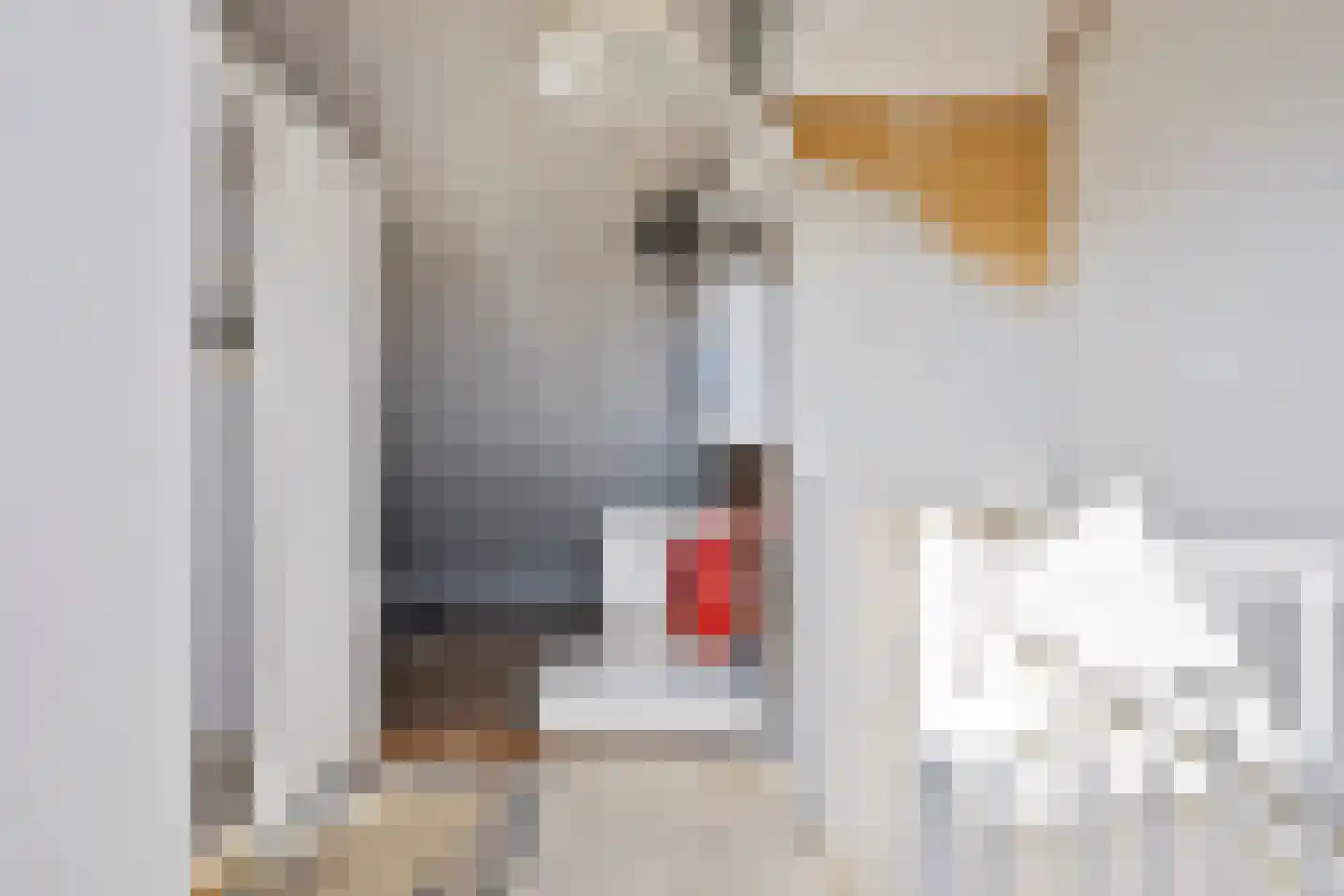 Severijnpad 14 Alkmaar thumbnail 33