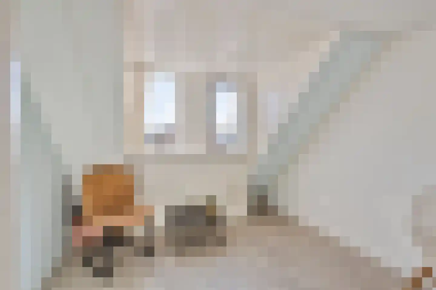 Severijnpad 14 Alkmaar thumbnail 34