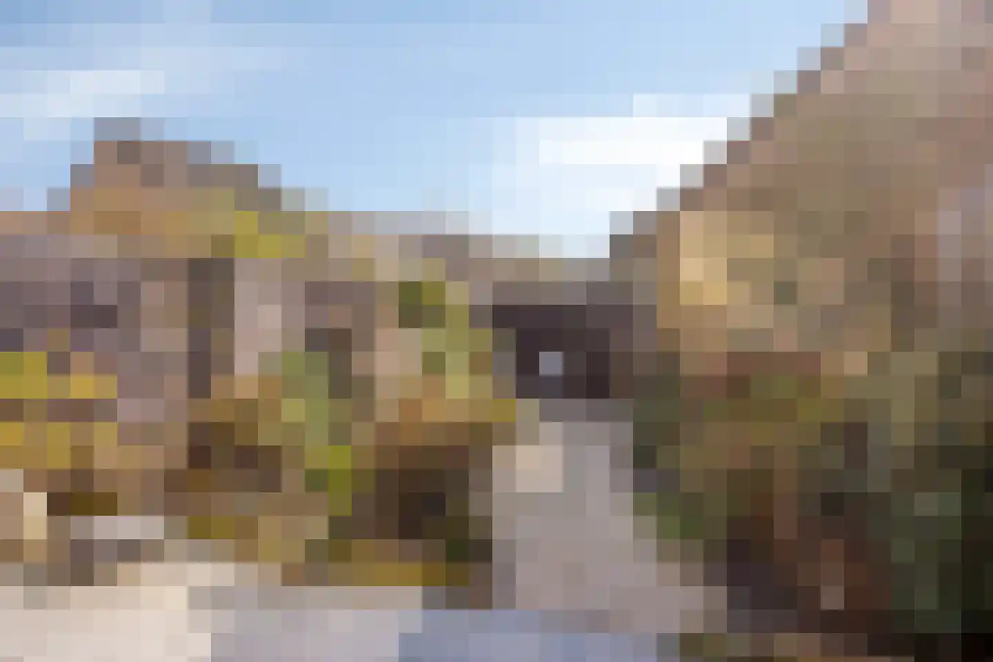 Severijnpad 14 Alkmaar thumbnail 4