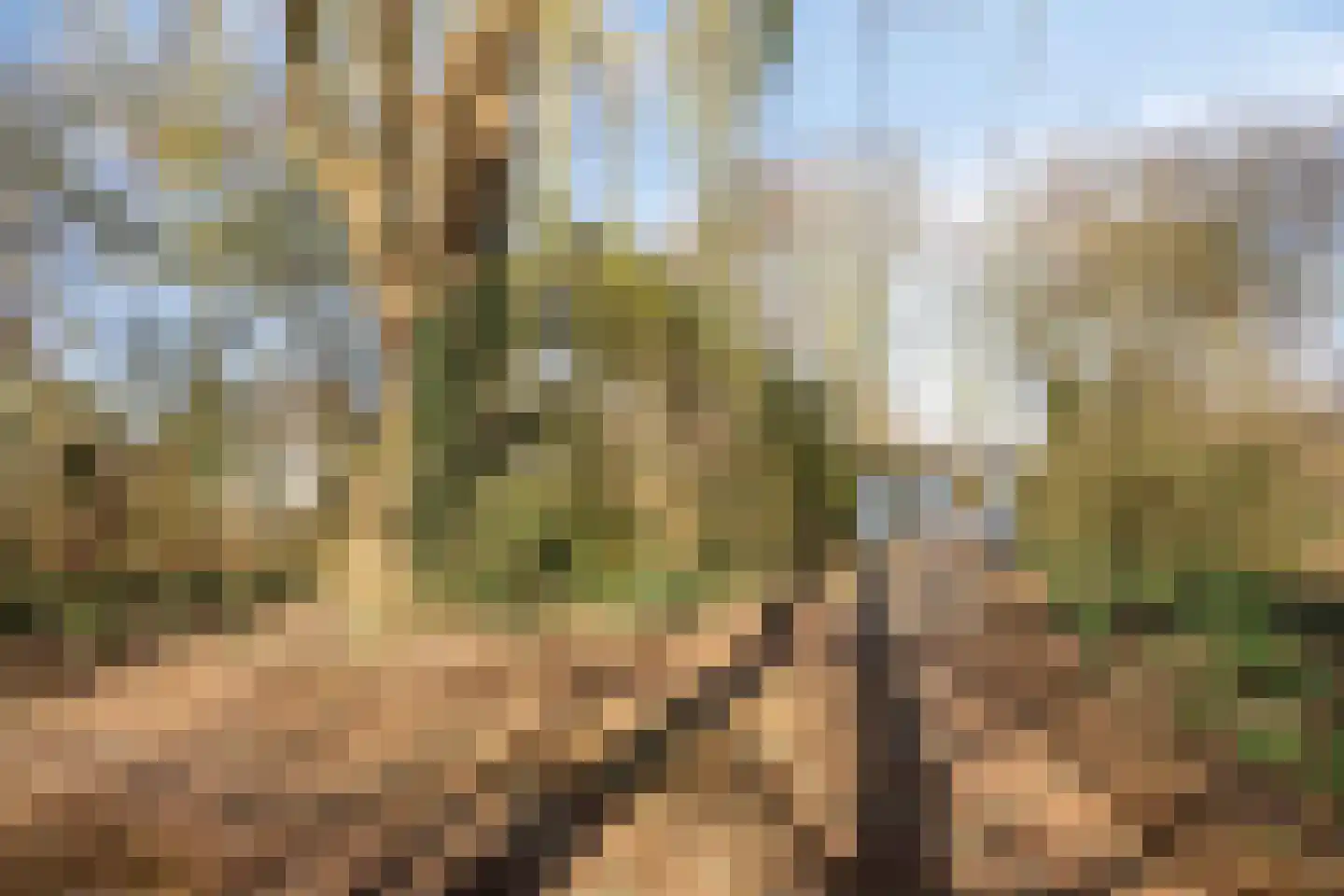 Severijnpad 14 Alkmaar thumbnail 40