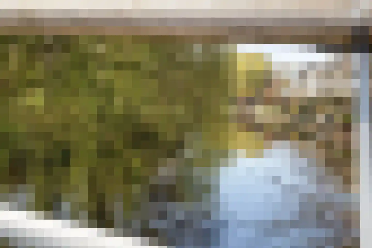 Severijnpad 14 Alkmaar thumbnail 41