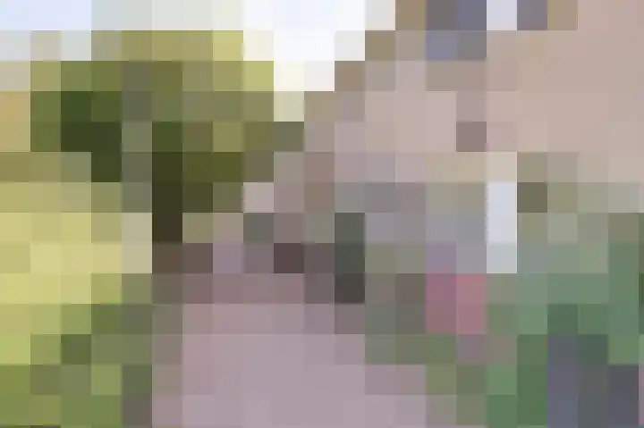 Severijnpad 6 Alkmaar