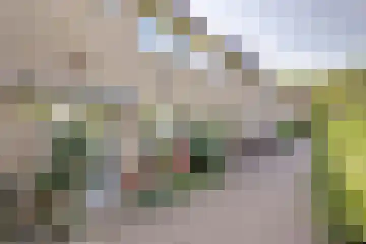 Severijnpad 6 Alkmaar thumbnail 33