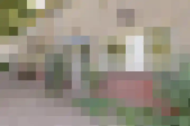 Severijnpad 6 Alkmaar thumbnail 34