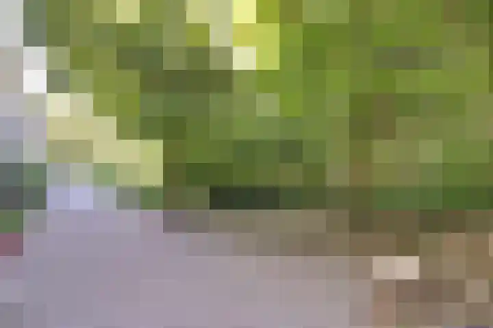 Severijnpad 6 Alkmaar thumbnail 35