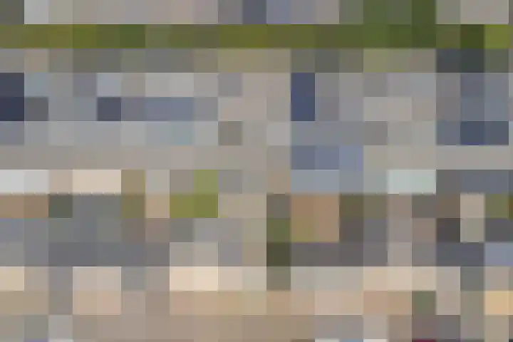 Severijnpad 6 Alkmaar thumbnail 36