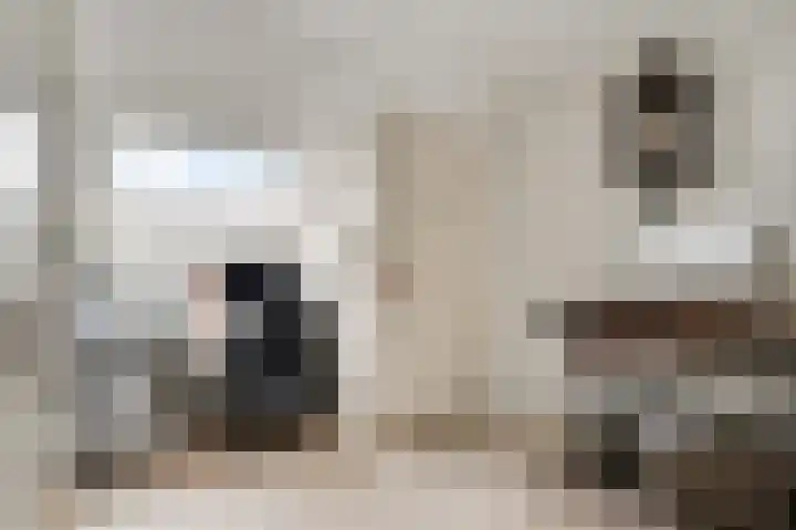 Severinusstraat 6 Grathem thumbnail 18