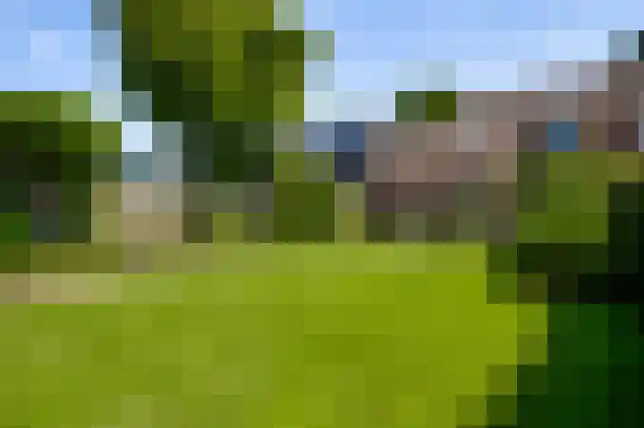 Severinusstraat 6 Grathem thumbnail 29