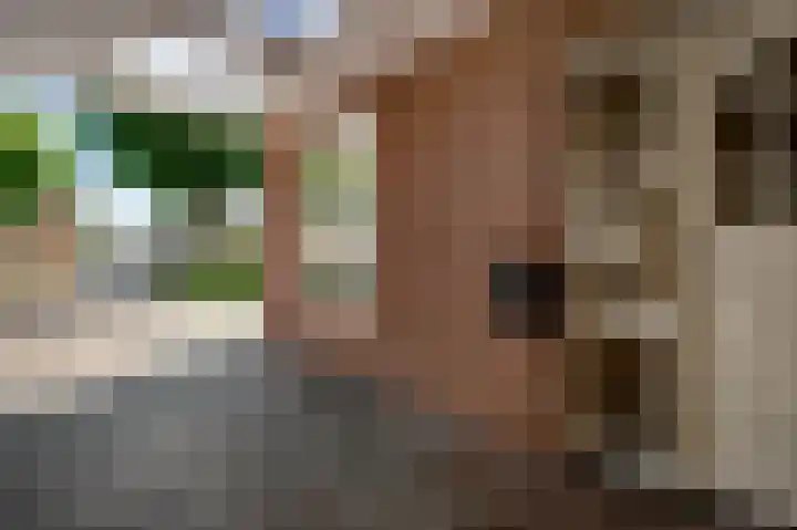 Severinusstraat 6 Grathem thumbnail 37