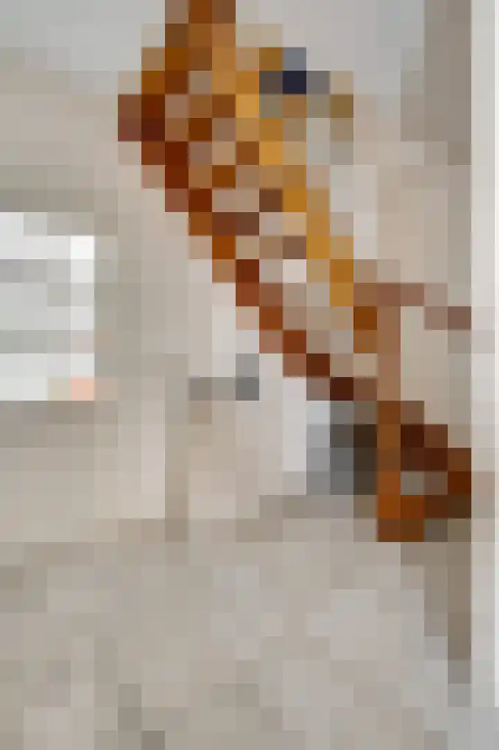 Severinusstraat 6 Grathem thumbnail 6