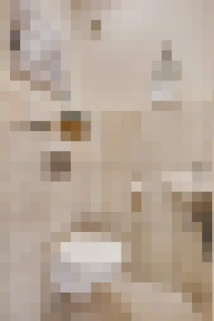 Severinusstraat 6 Grathem thumbnail 8