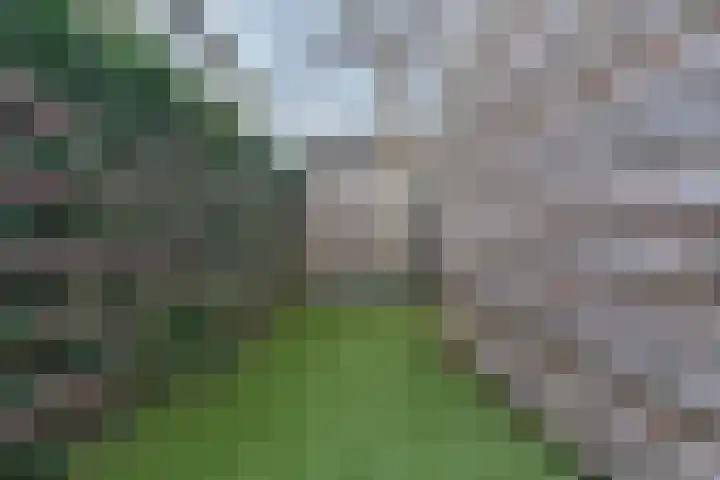 Severushof 2 Beuningen Gld thumbnail 49