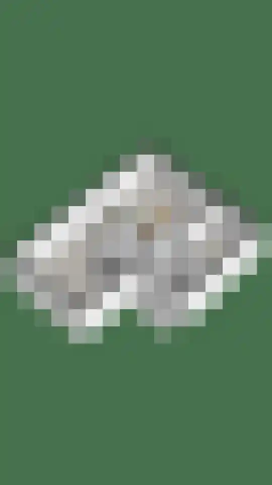 Severushof 2 Beuningen Gld thumbnail 59