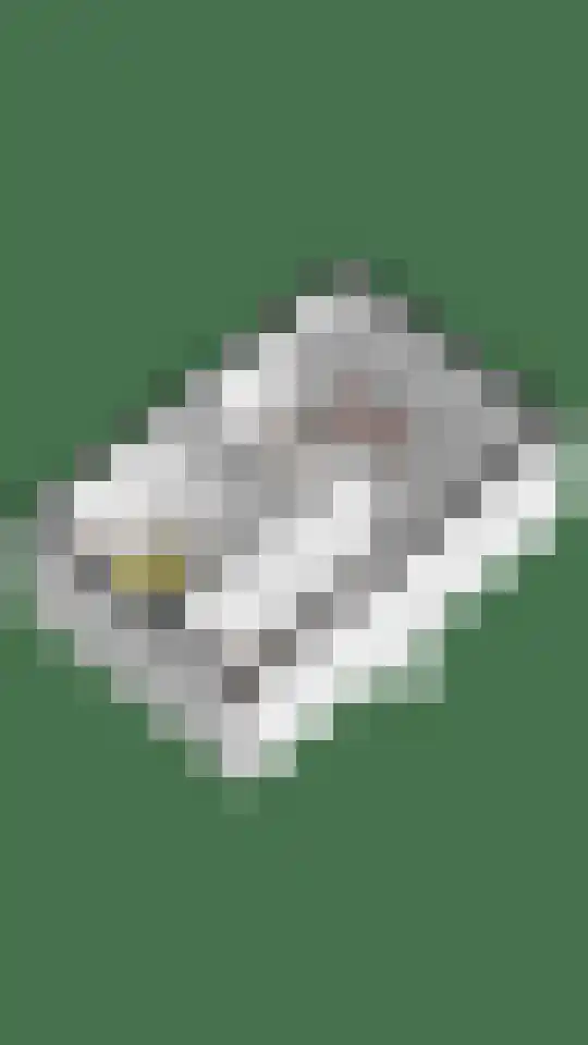 Severushof 2 Beuningen Gld thumbnail 61