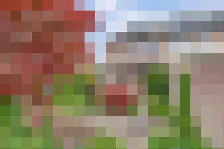 Severushof 7 Beuningen Gld thumbnail 28