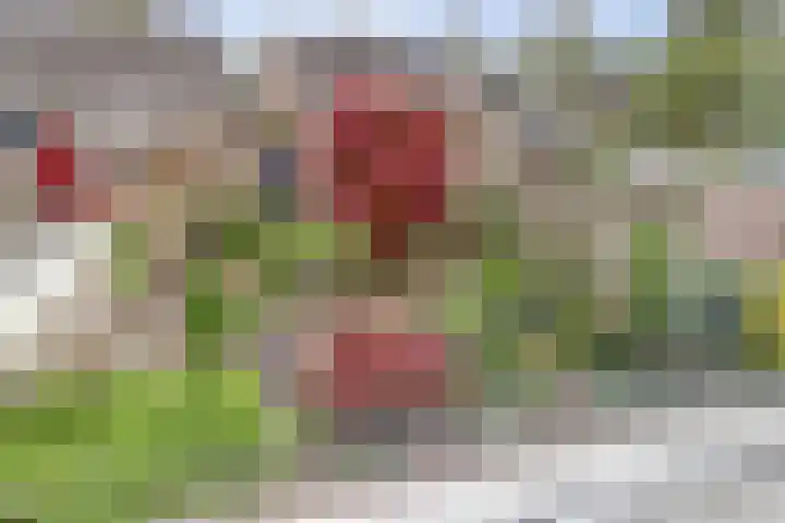 Severushof 7 Beuningen Gld thumbnail 29