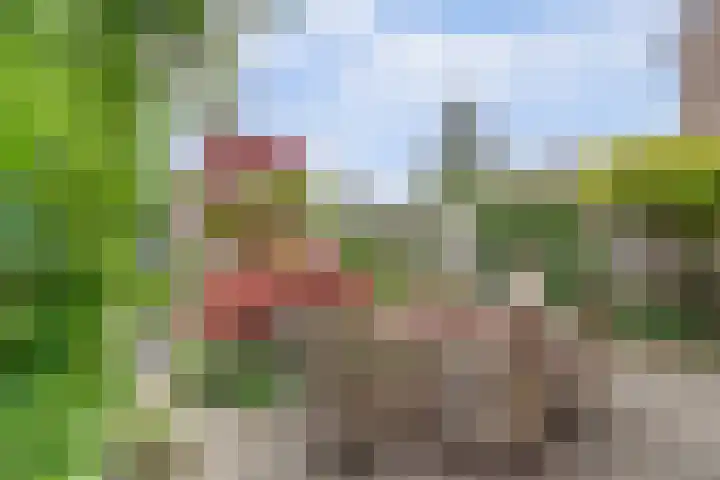 Severushof 7 Beuningen Gld thumbnail 30