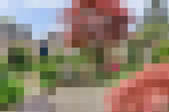 Severushof 7 Beuningen Gld thumbnail 31