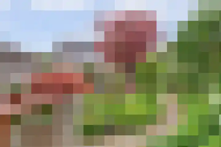 Severushof 7 Beuningen Gld thumbnail 33