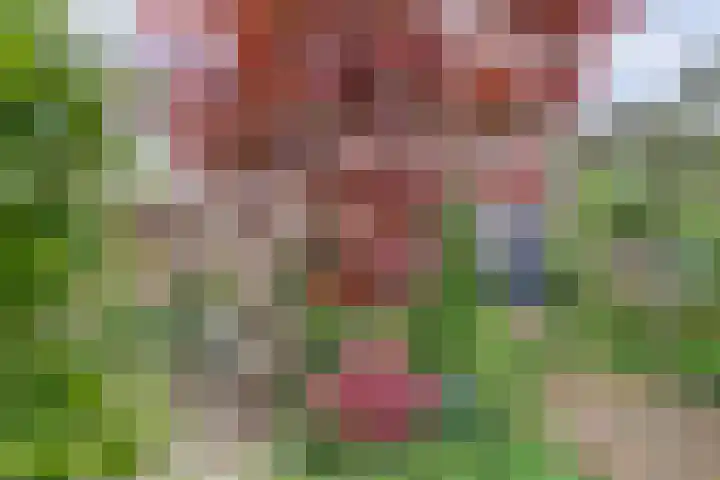 Severushof 7 Beuningen Gld thumbnail 34