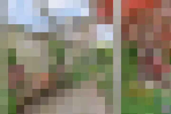 Severushof 7 Beuningen Gld thumbnail 35