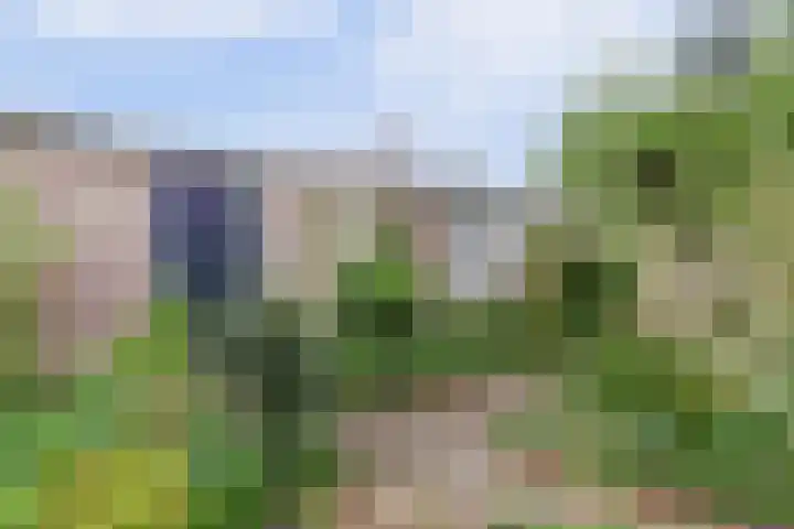Severushof 7 Beuningen Gld thumbnail 36