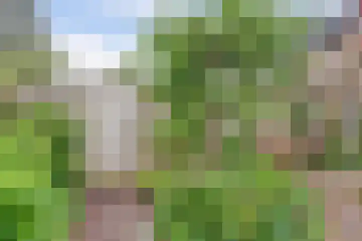 Severushof 7 Beuningen Gld thumbnail 37