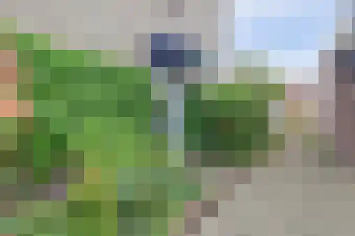 Severushof 7 Beuningen Gld thumbnail 38