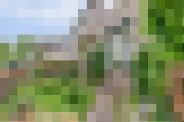Severushof 7 Beuningen Gld thumbnail 39