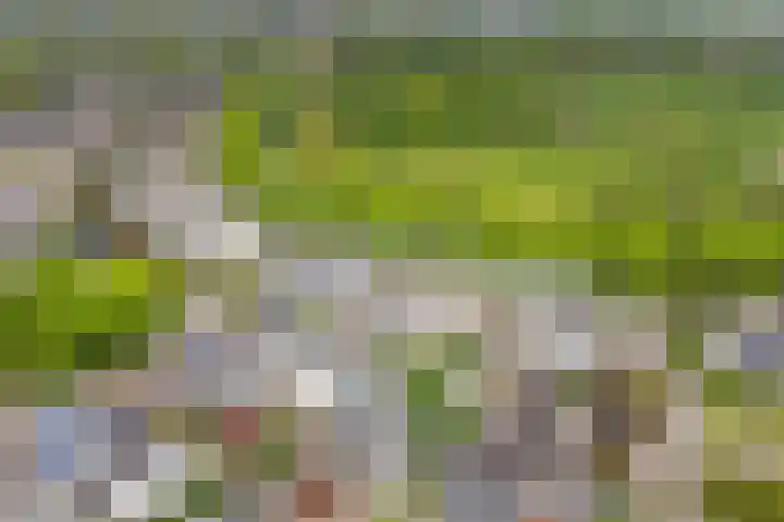 Severushof 7 Beuningen Gld thumbnail 41
