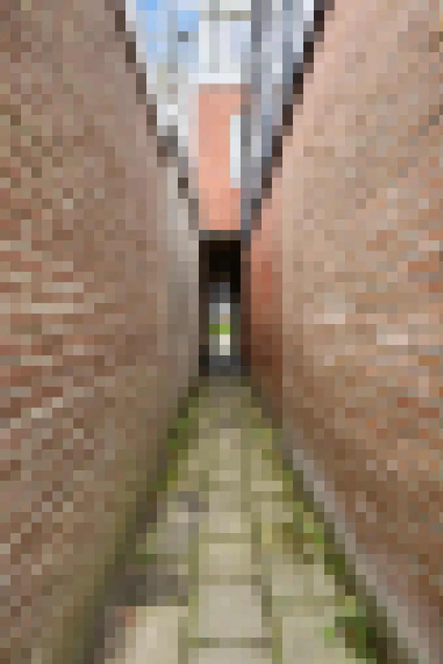 Sexbierumerstraat 34 Leeuwarden thumbnail 52