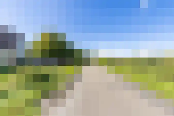 Sexbierumerweg 19 Franeker thumbnail 10