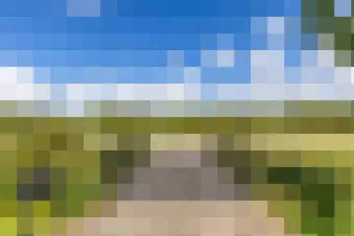 Sexbierumerweg 19 Franeker thumbnail 13