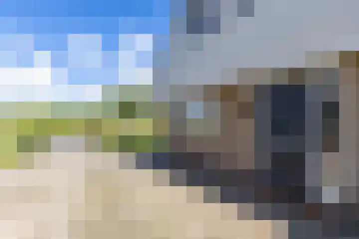 Sexbierumerweg 19 Franeker thumbnail 16