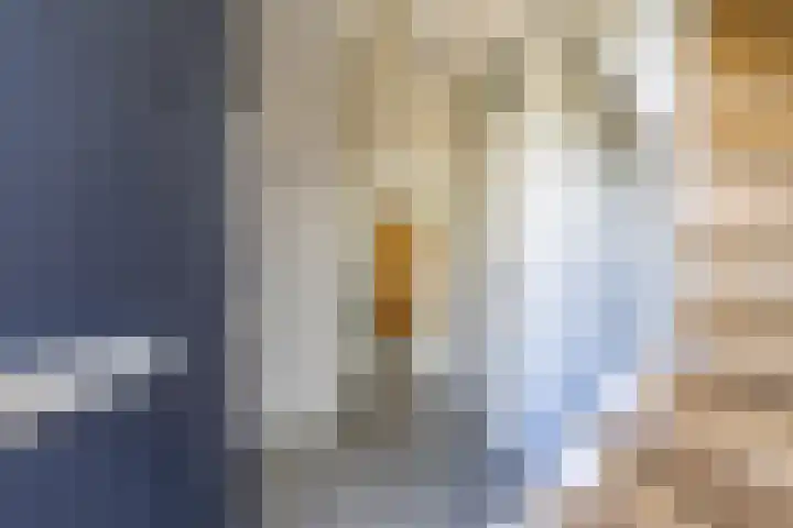 Sexbierumerweg 19 Franeker thumbnail 19