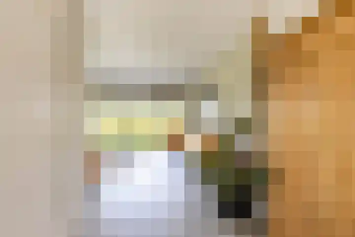 Sexbierumerweg 19 Franeker thumbnail 20