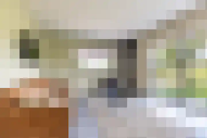 Sexbierumerweg 19 Franeker thumbnail 22