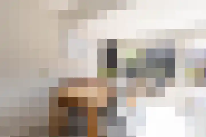 Sexbierumerweg 19 Franeker thumbnail 28
