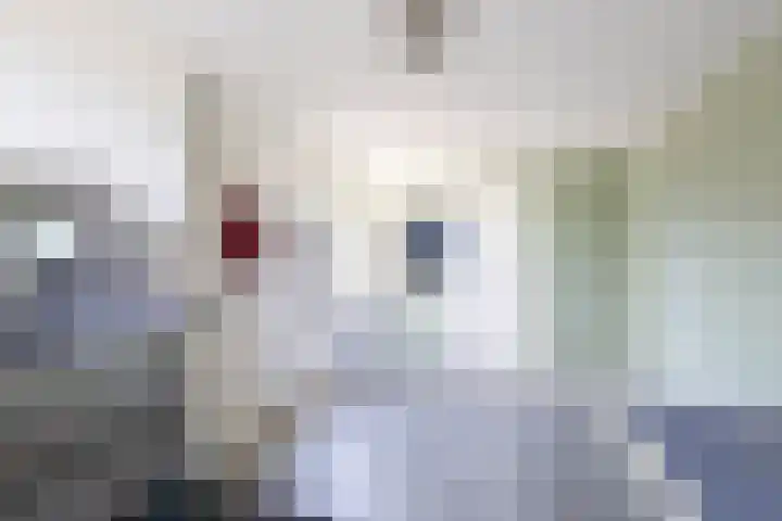 Sexbierumerweg 19 Franeker thumbnail 32