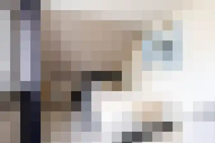 Sexbierumerweg 19 Franeker thumbnail 45