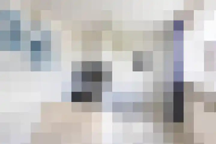 Sexbierumerweg 19 Franeker thumbnail 46